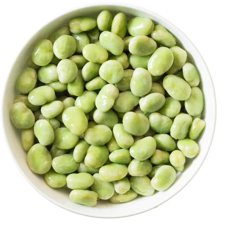 1171XX99 - broad beans.webp
